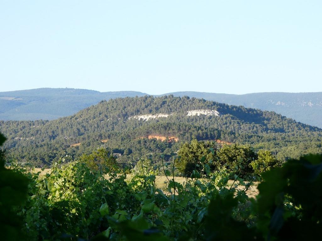 Lou Amourie Roussillon  Exterior photo
